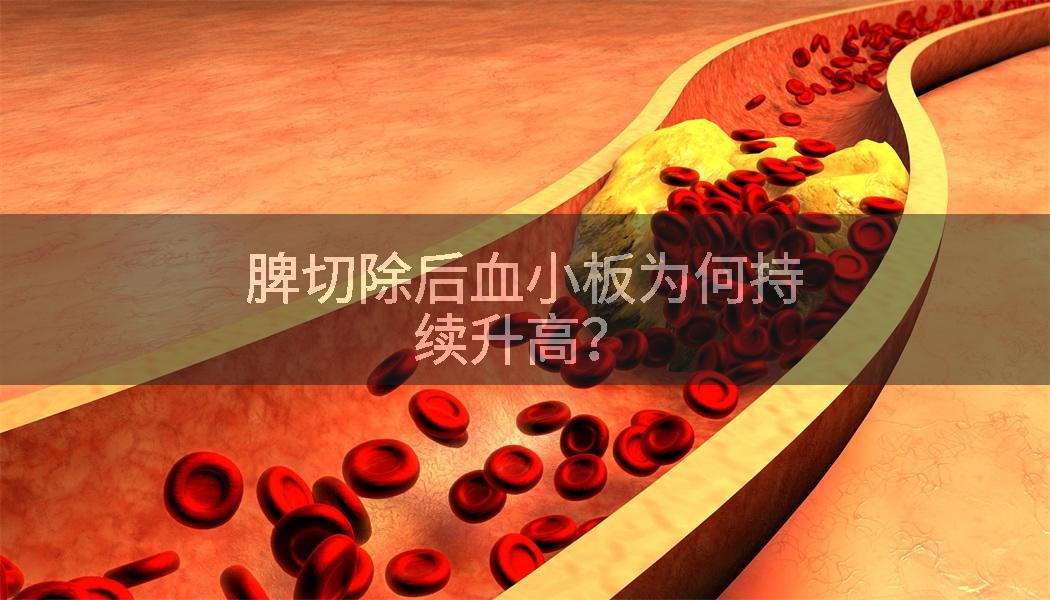 脾切除后血小板为何持续升高？
