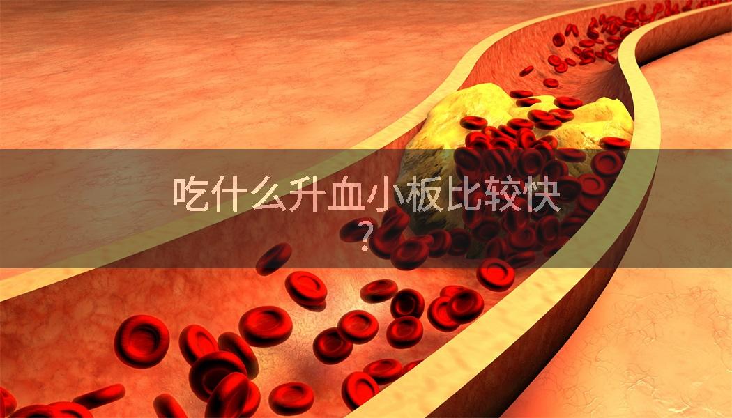 吃什么升血小板比较快?