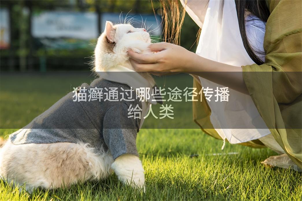 猫癣通过哪些途径传播给人类