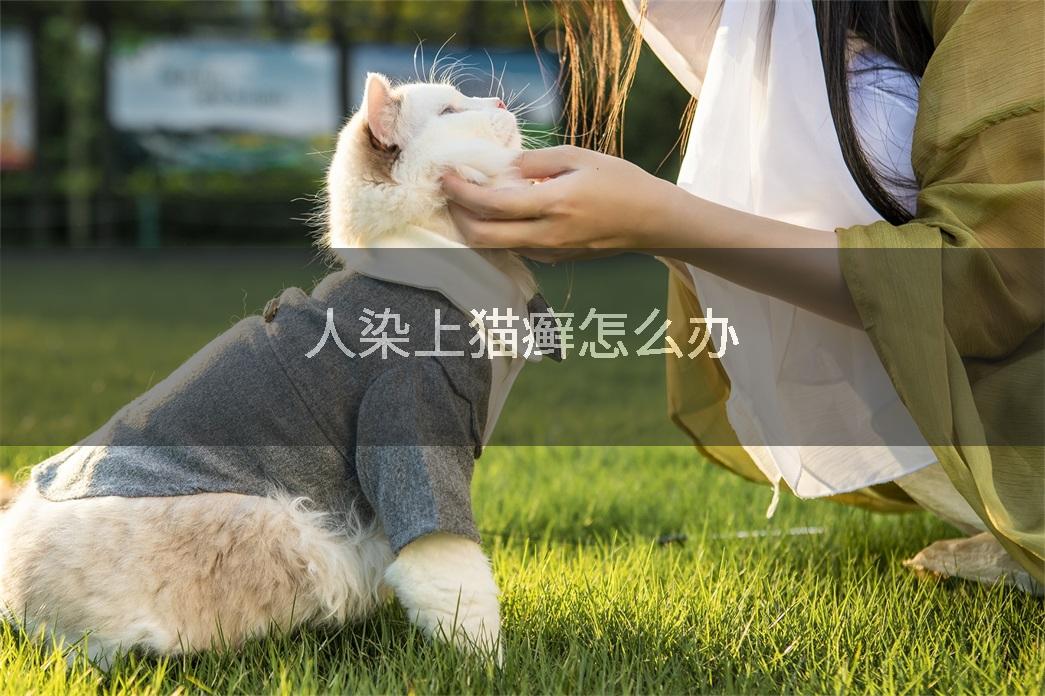 人染上猫癣怎么办