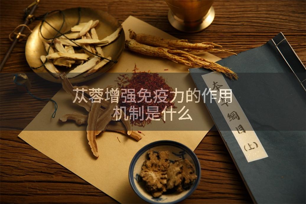 苁蓉增强免疫力的作用机制是什么