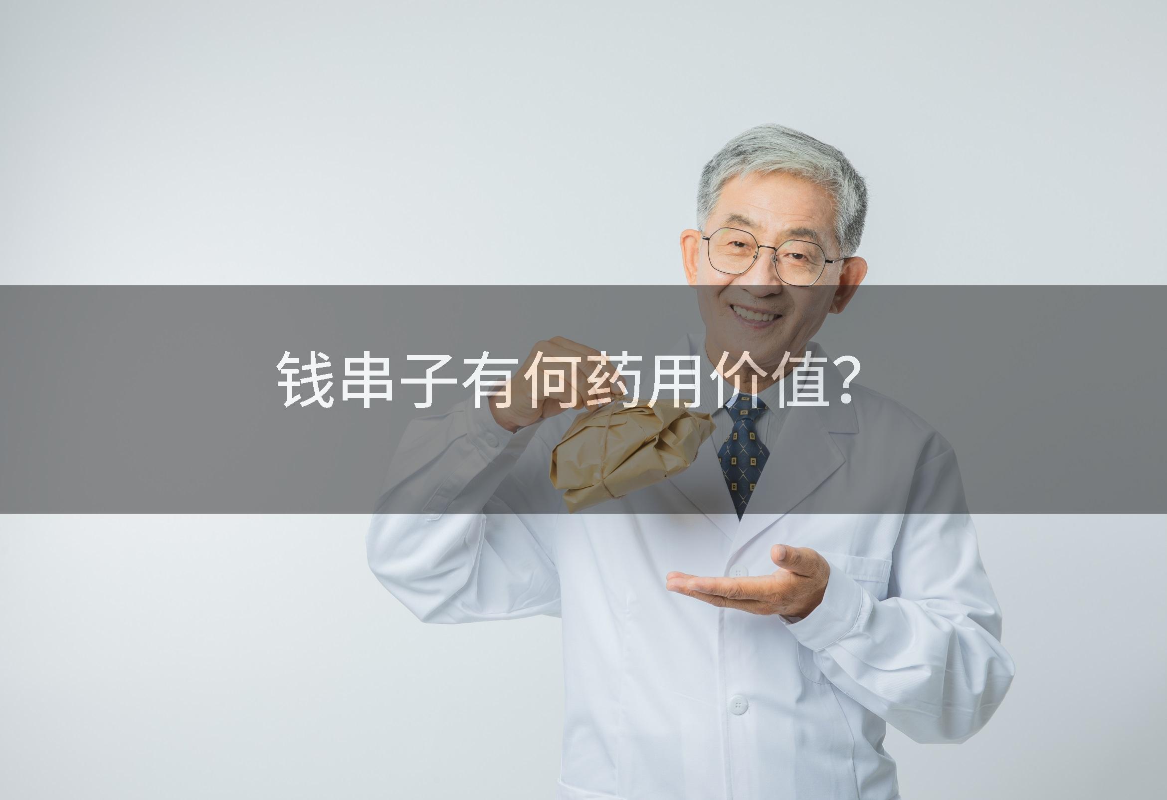 钱串子有何药用价值？