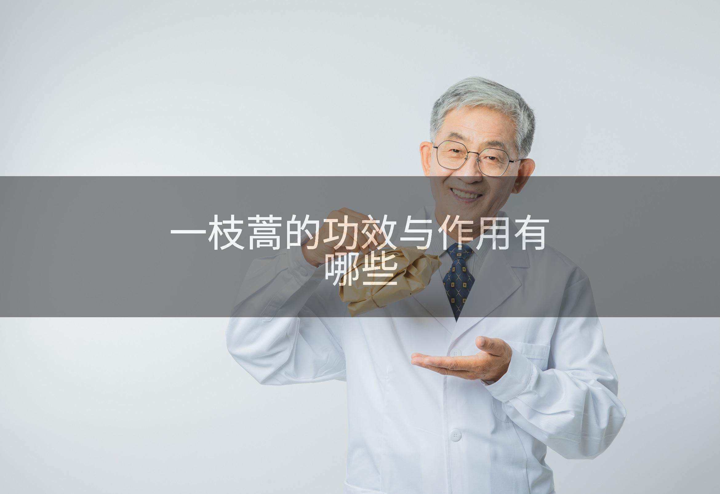 一枝蒿的功效与作用有哪些