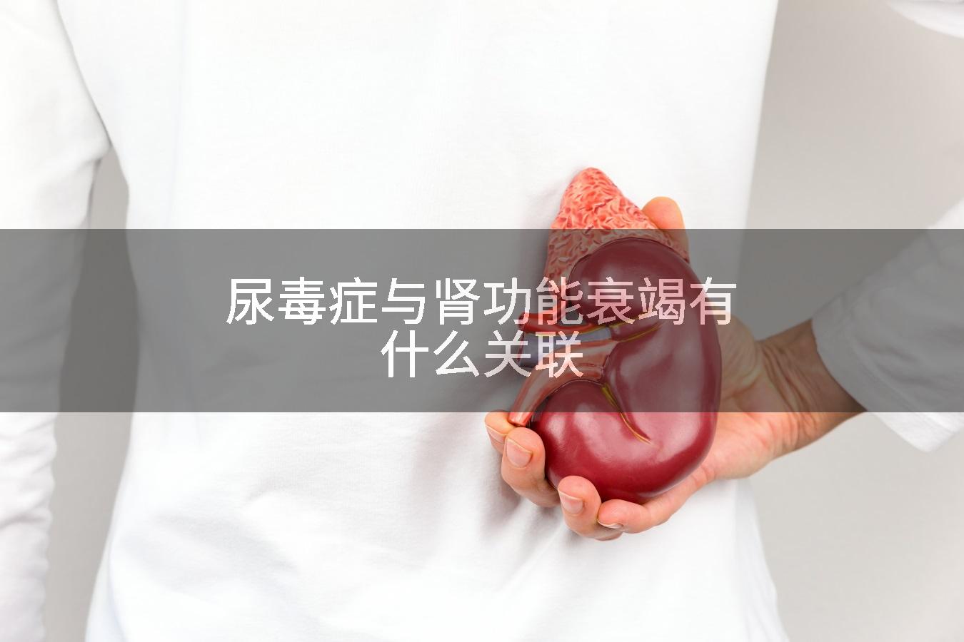 尿毒症与肾功能衰竭有什么关联