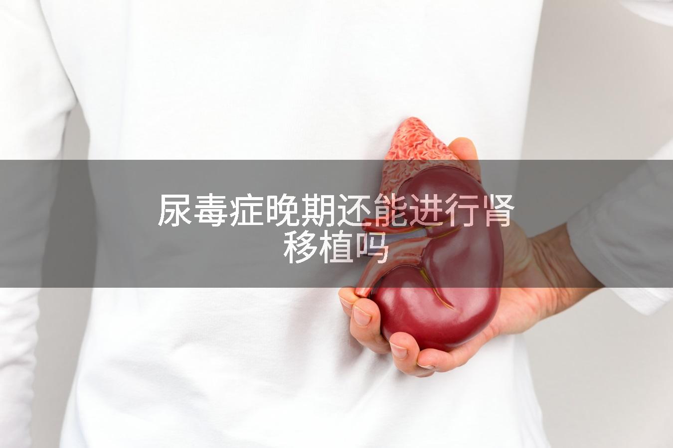 尿毒症晚期还能进行肾移植吗