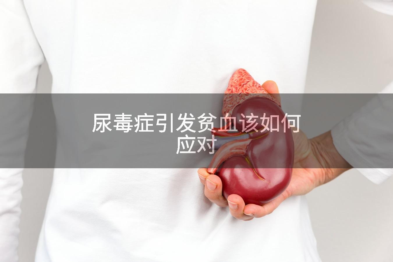 尿毒症引发贫血该如何应对
