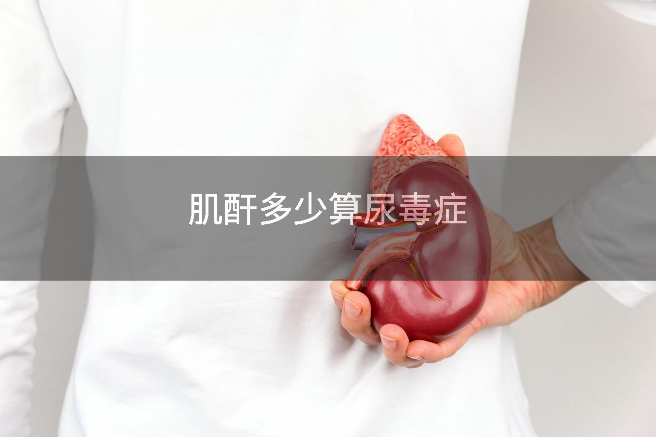 肌酐多少算尿毒症