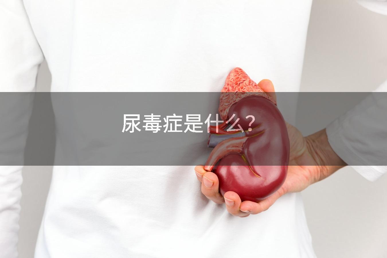 尿毒症是什么？