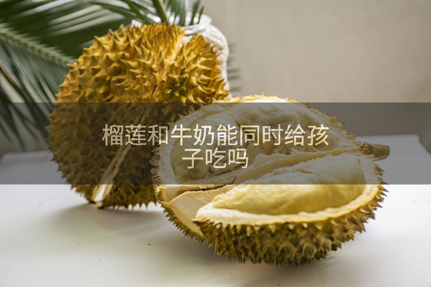 榴莲和牛奶能同时给孩子吃吗