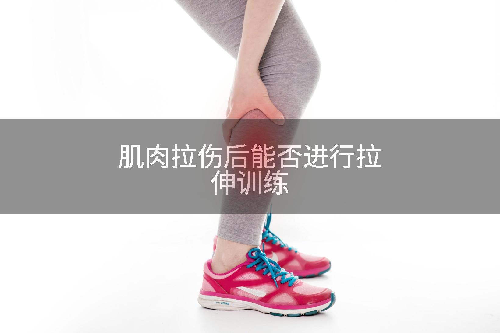 肌肉拉伤后能否进行拉伸训练