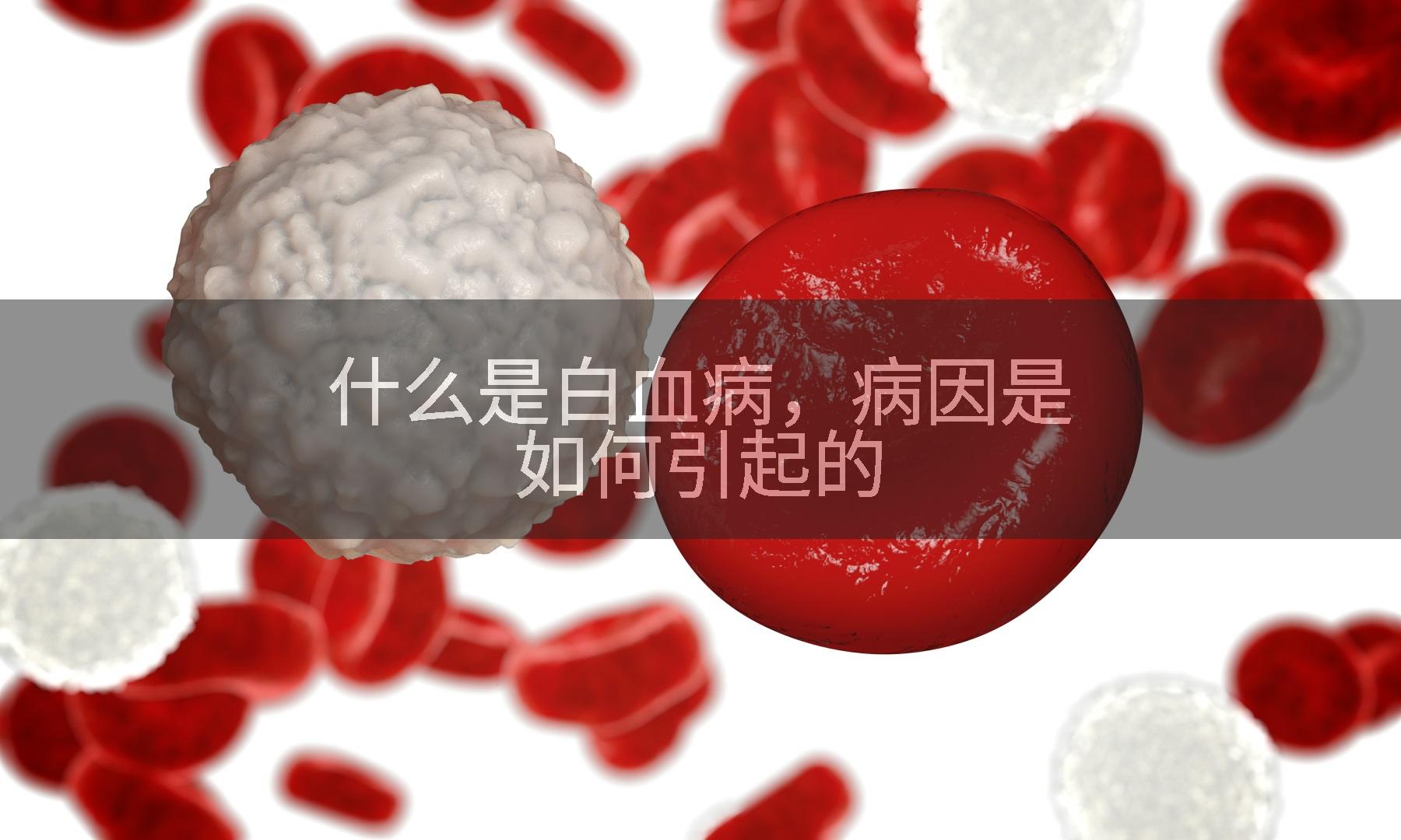 什么是白血病，病因是如何引起的