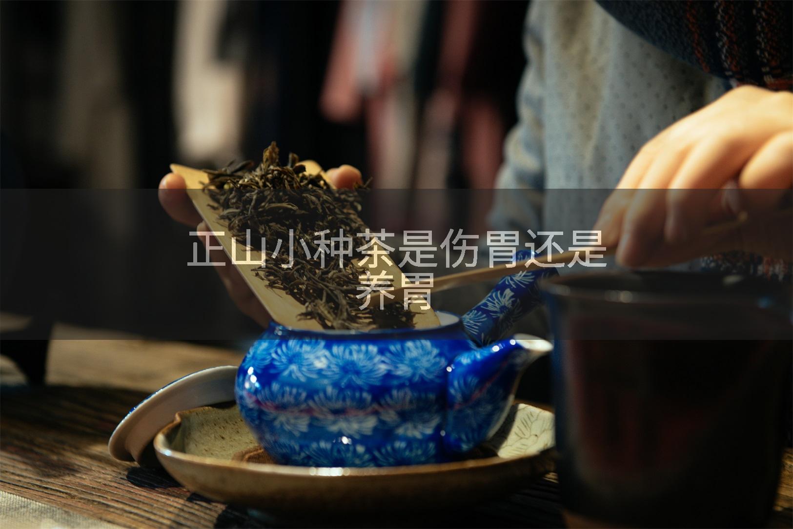 正山小种茶是伤胃还是养胃