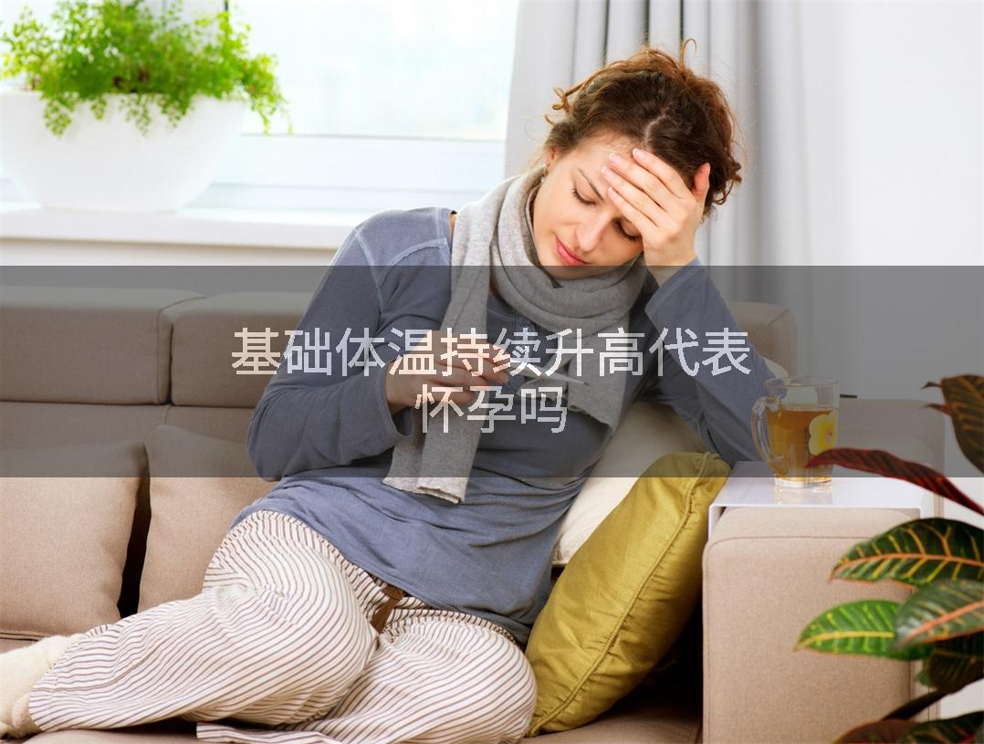 基础体温持续升高代表怀孕吗