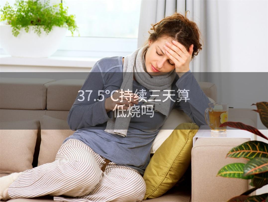 37.5℃持续三天算低烧吗