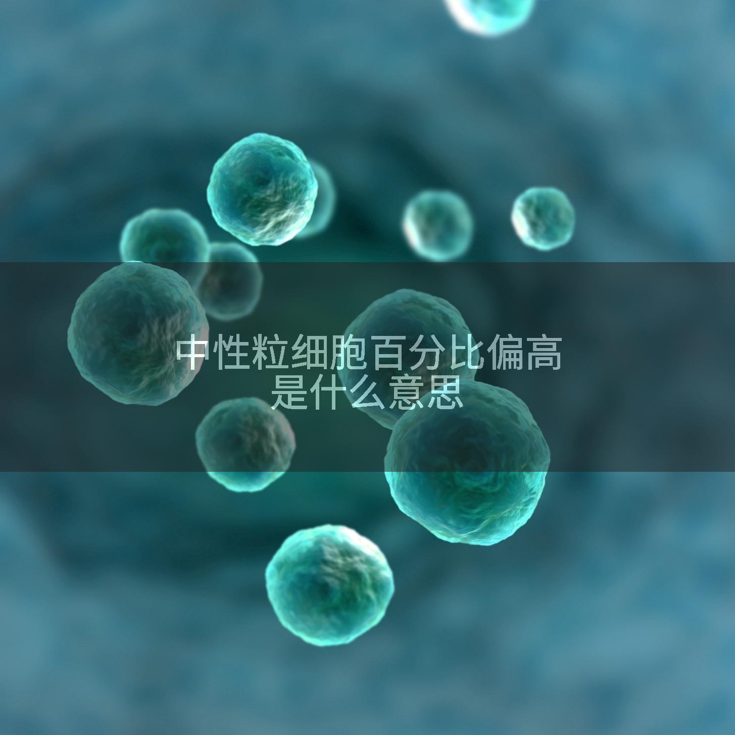 中性粒细胞百分比偏高是什么意思