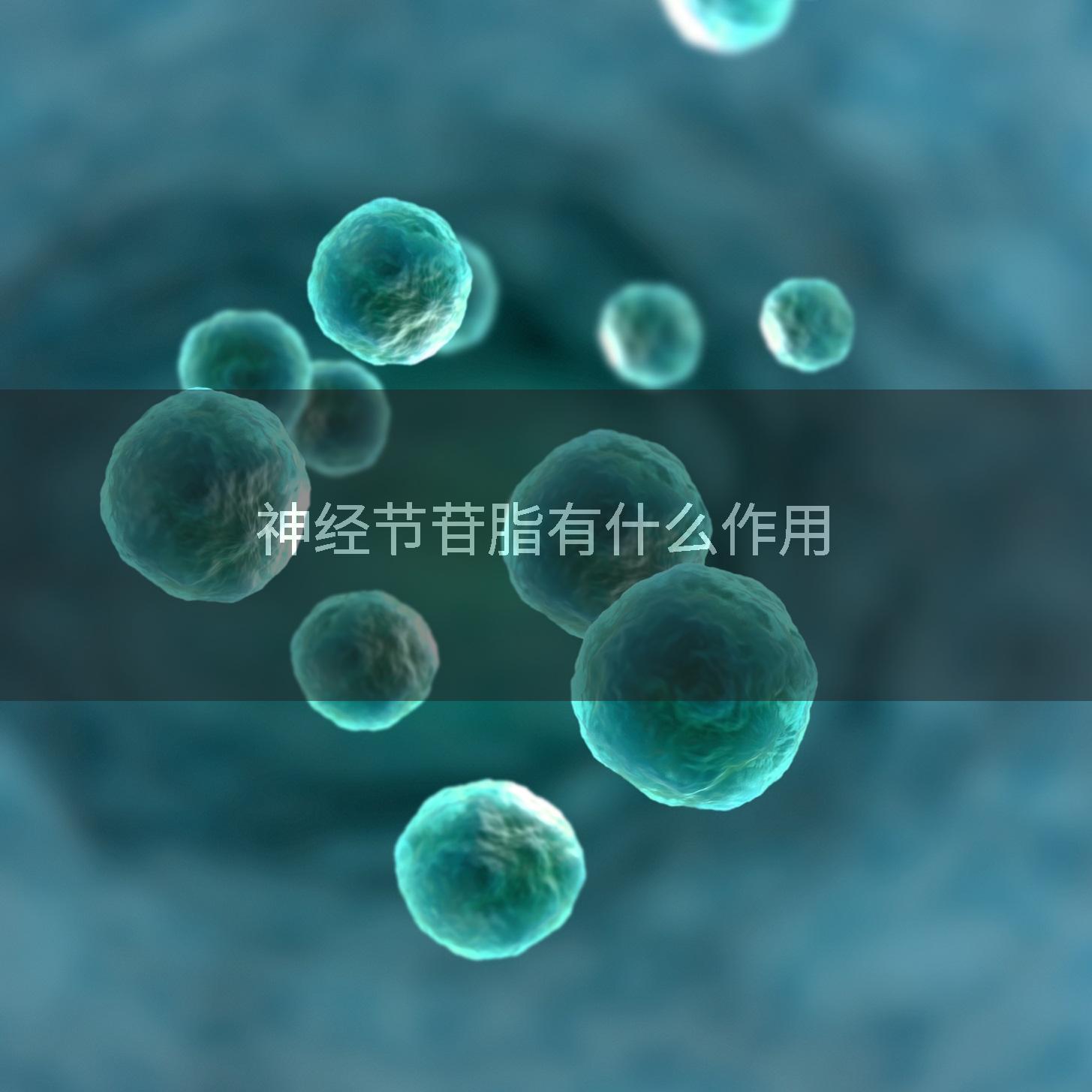 神经节苷脂有什么作用