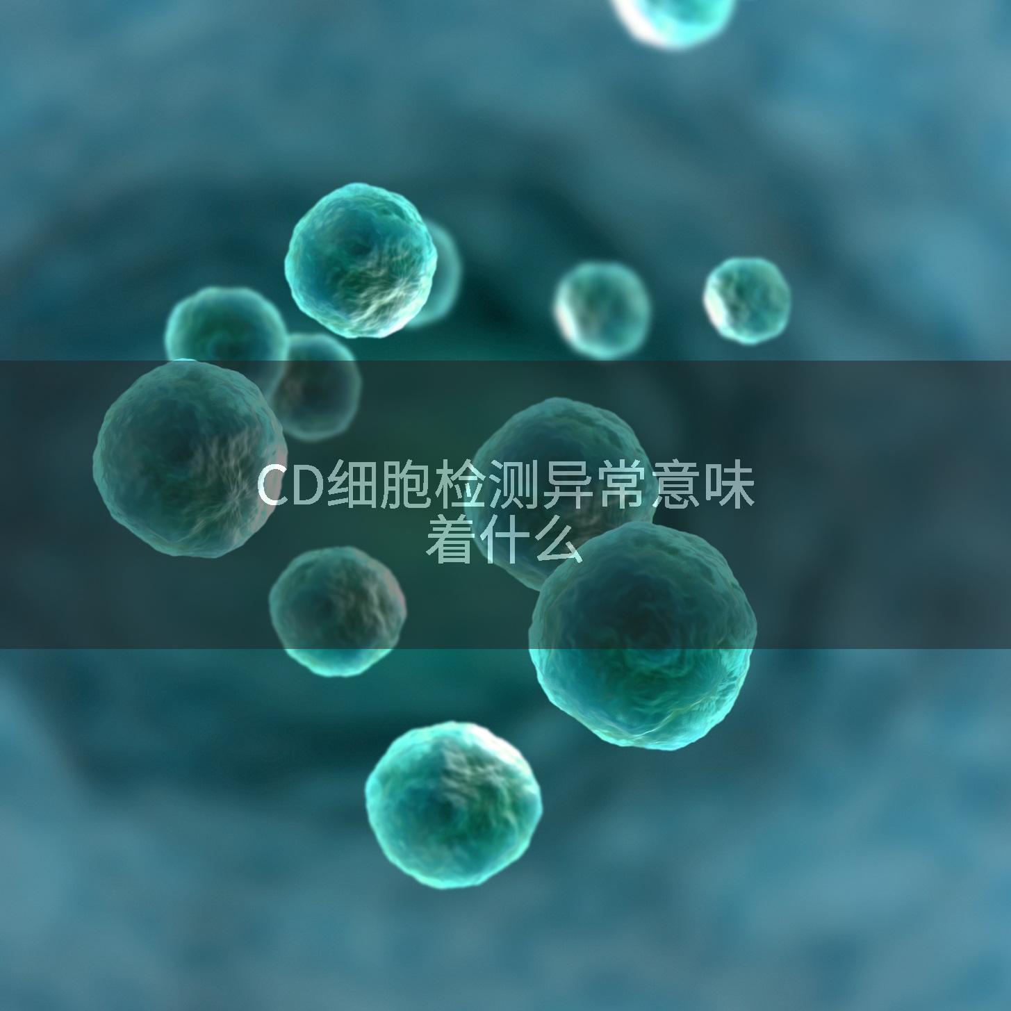 CD细胞检测异常意味着什么