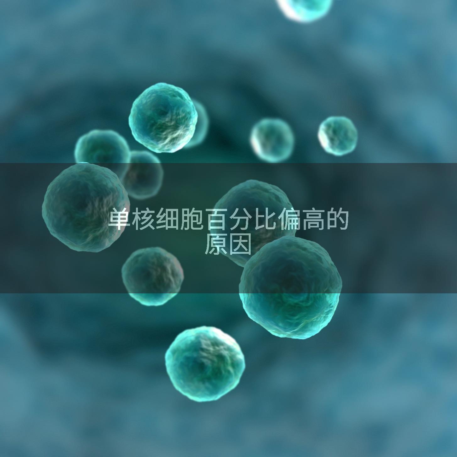 单核细胞百分比偏高的原因