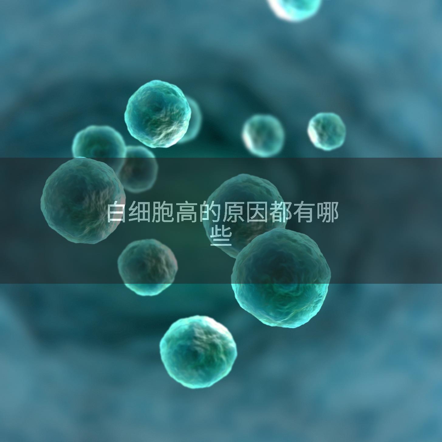 白细胞高的原因都有哪些