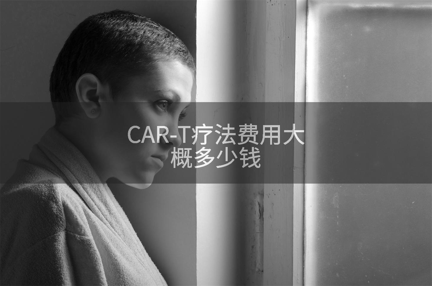 CAR-T疗法费用大概多少钱