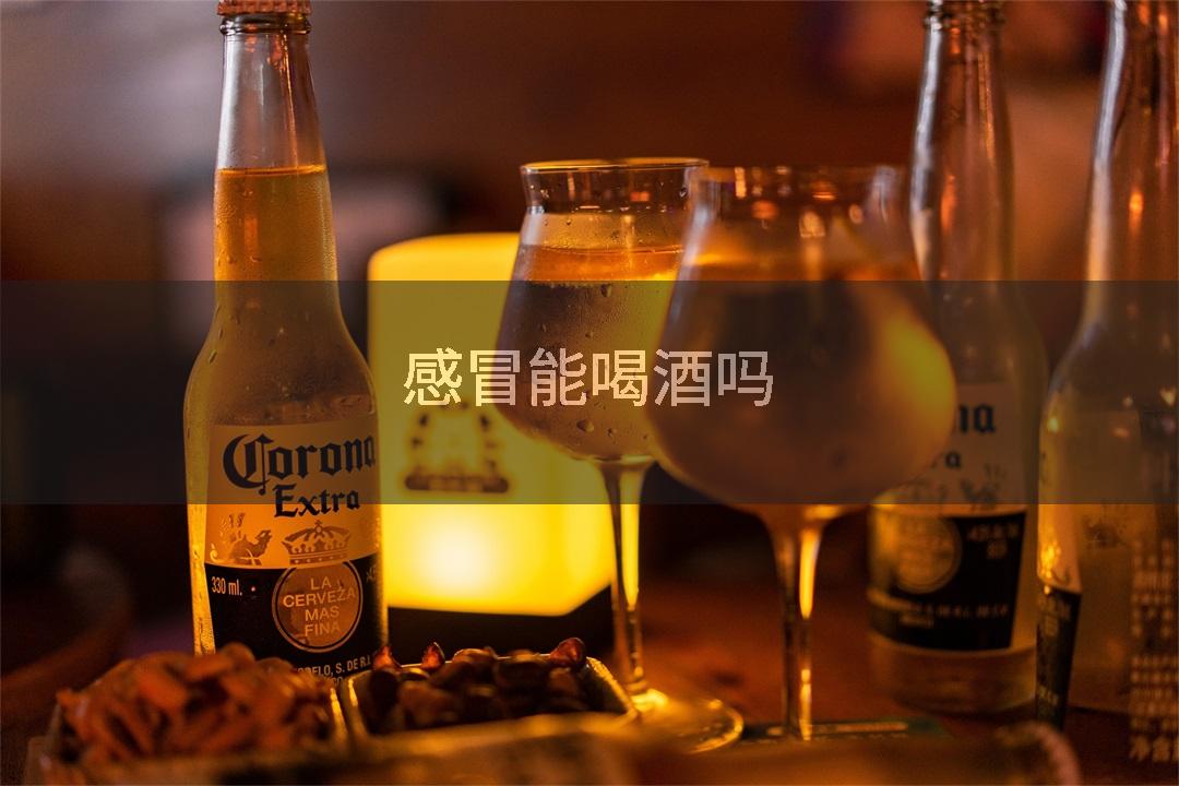 感冒能喝酒吗