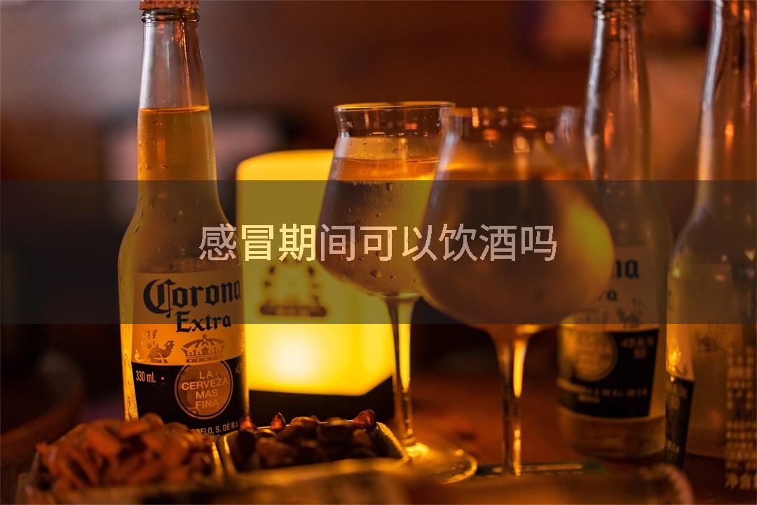感冒期间可以饮酒吗