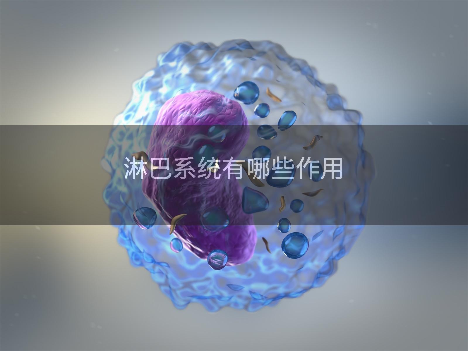 淋巴系统有哪些作用