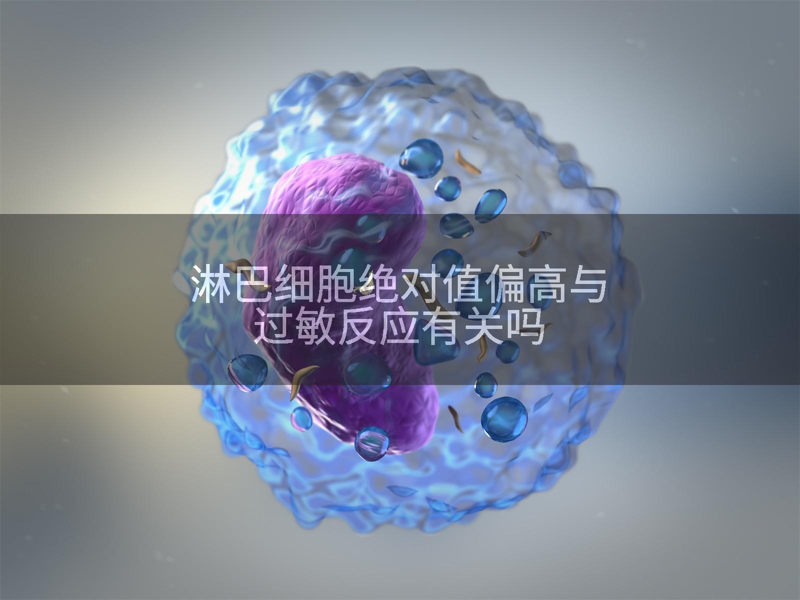 淋巴细胞绝对值偏高与过敏反应有关吗