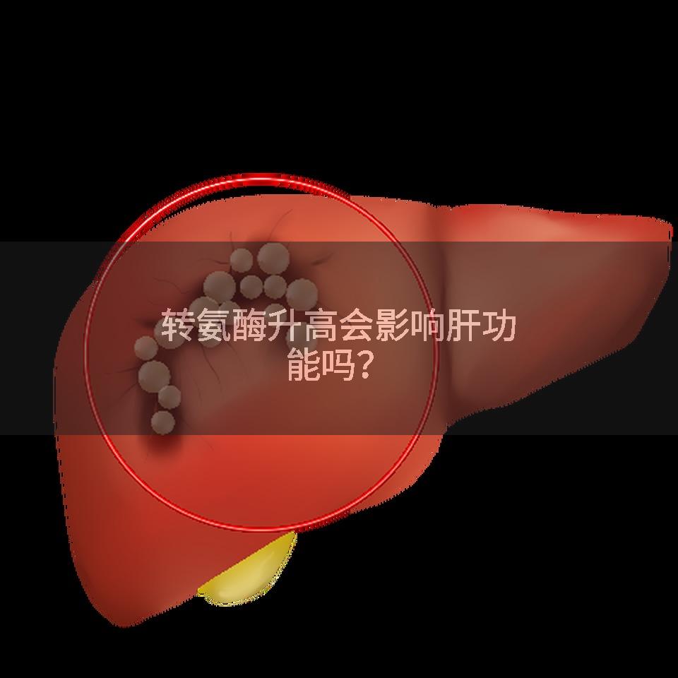 转氨酶升高会影响肝功能吗？