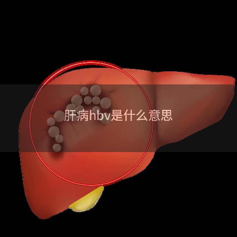 肝病hbv是什么意思