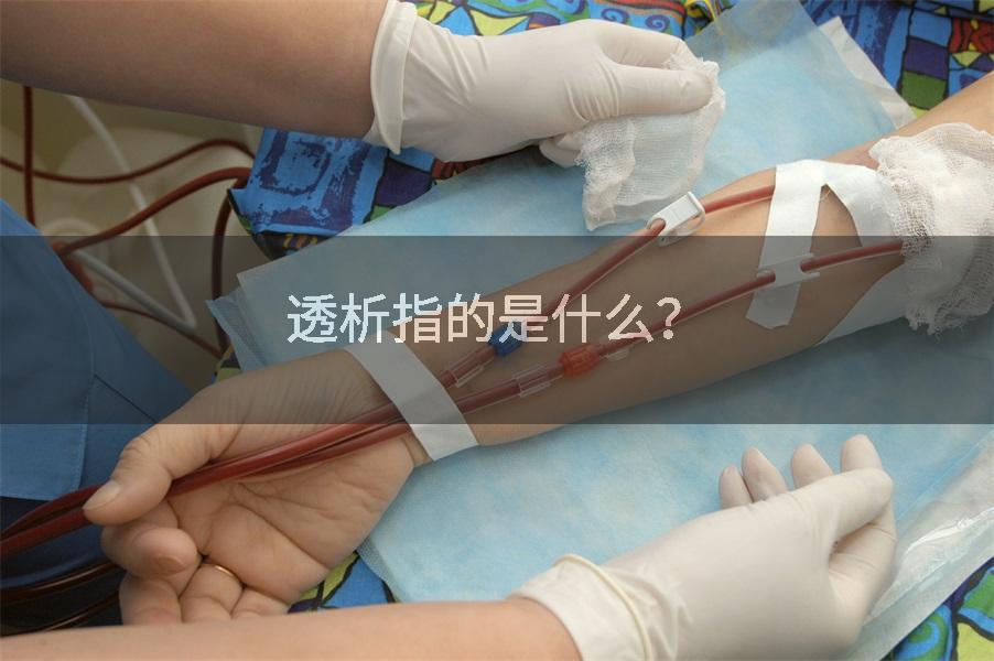 透析指的是什么？