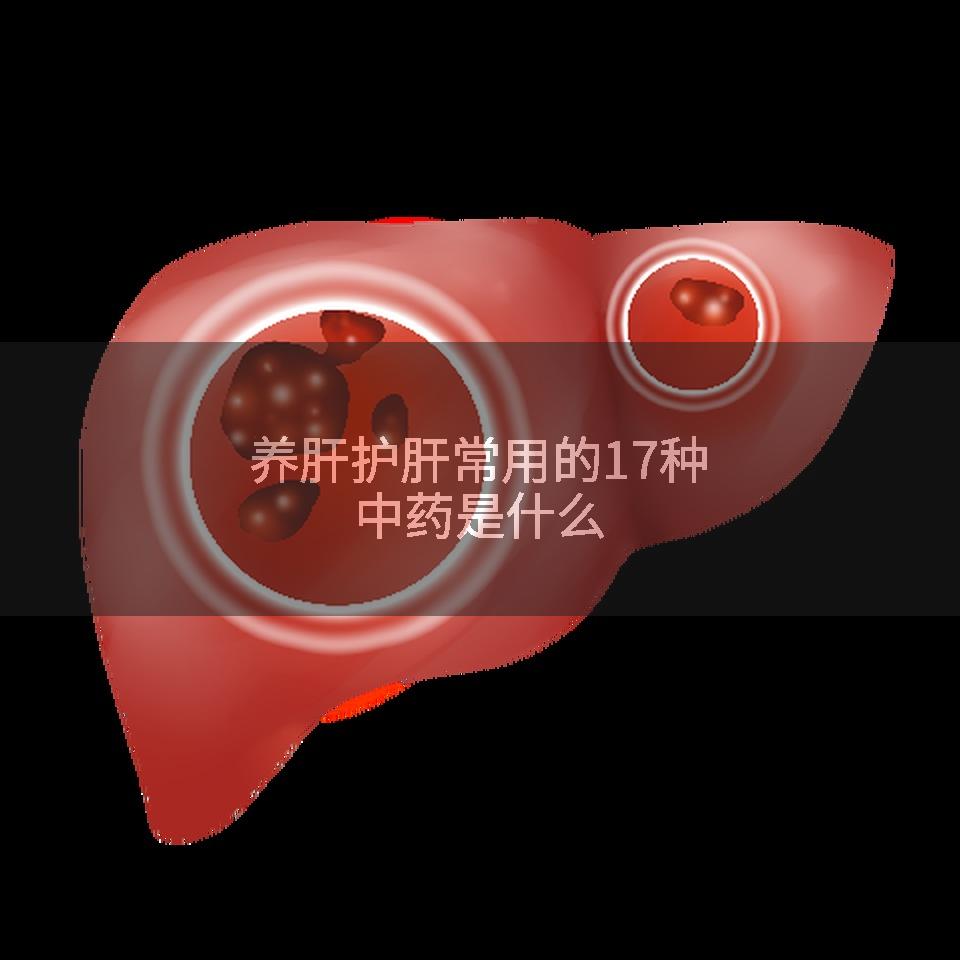 养肝护肝常用的17种中药是什么