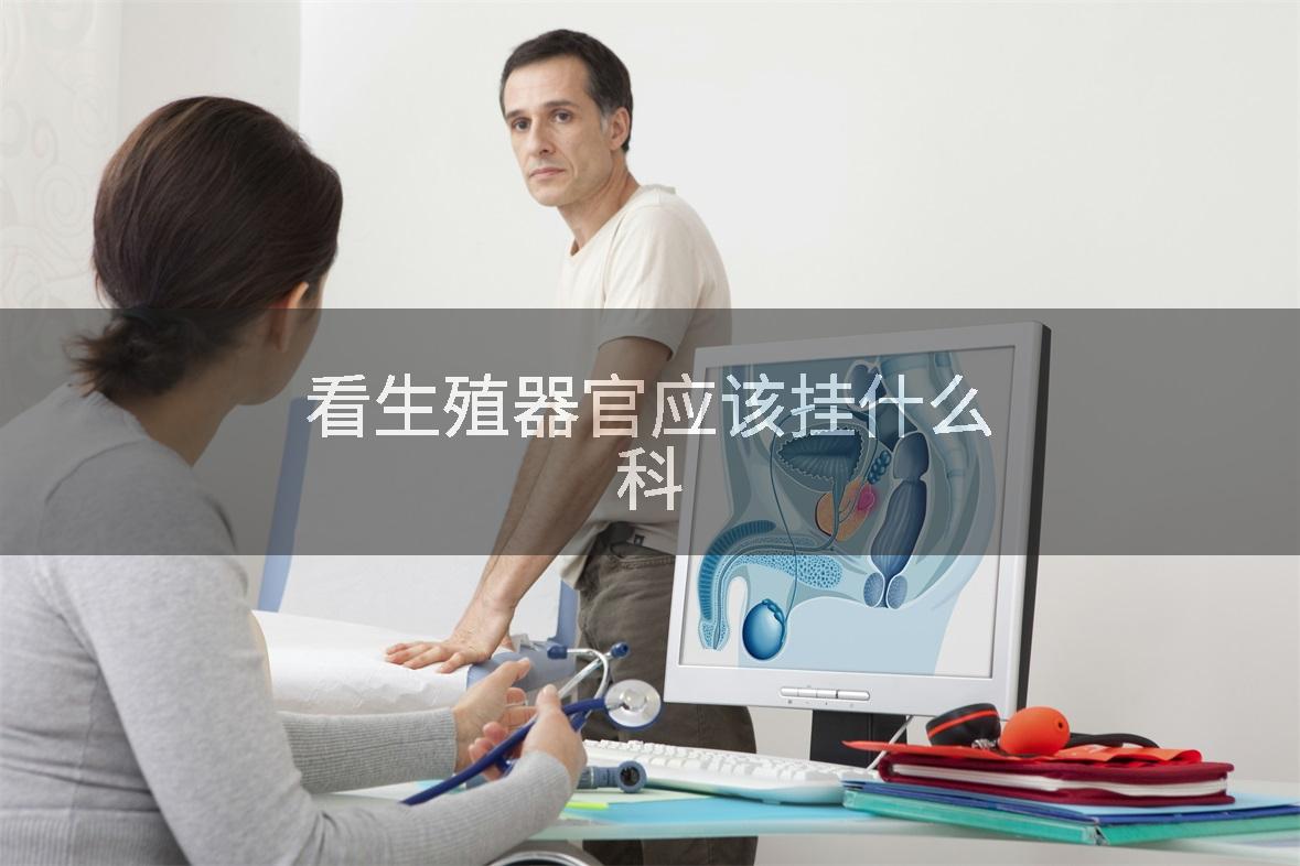 看生殖器官应该挂什么科