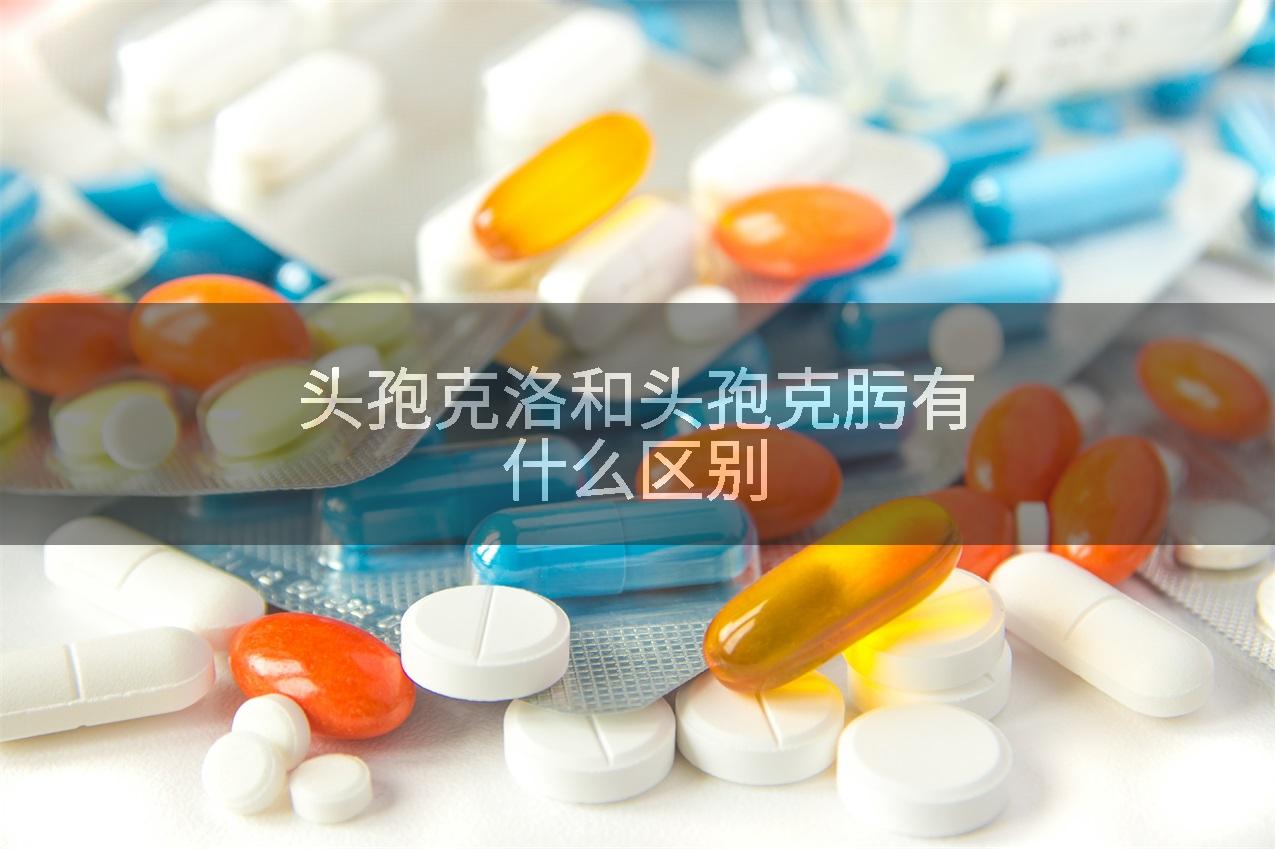 头孢克洛和头孢克肟有什么区别
