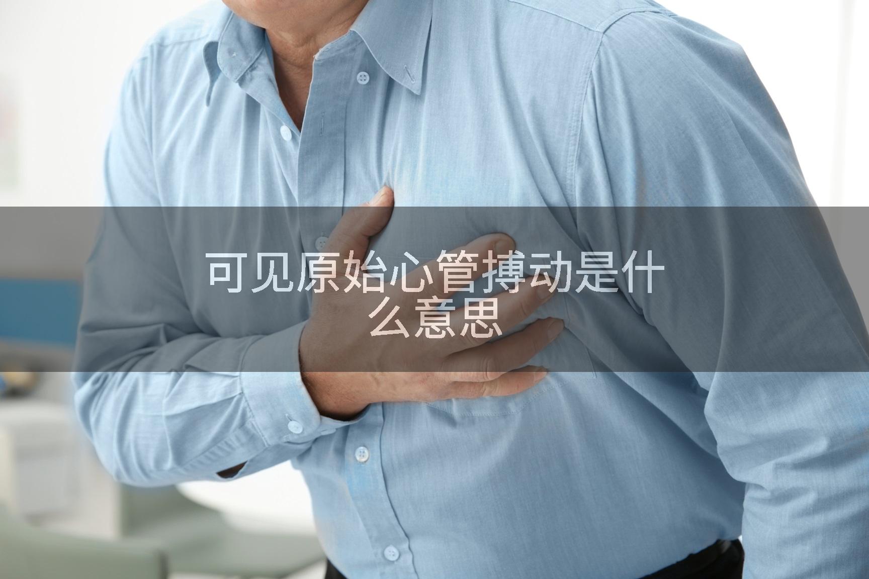 可见原始心管搏动是什么意思