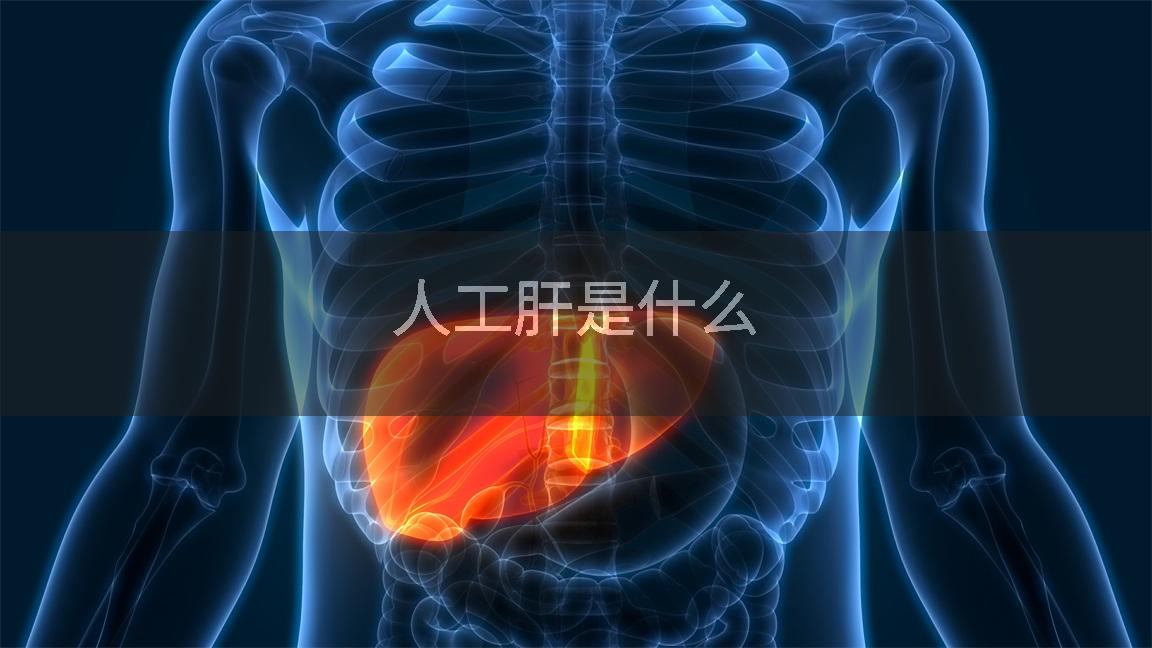 人工肝是什么