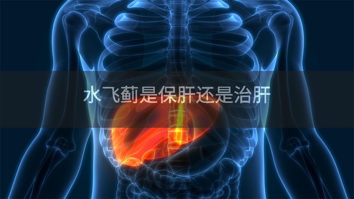 水飞蓟是保肝还是治肝
