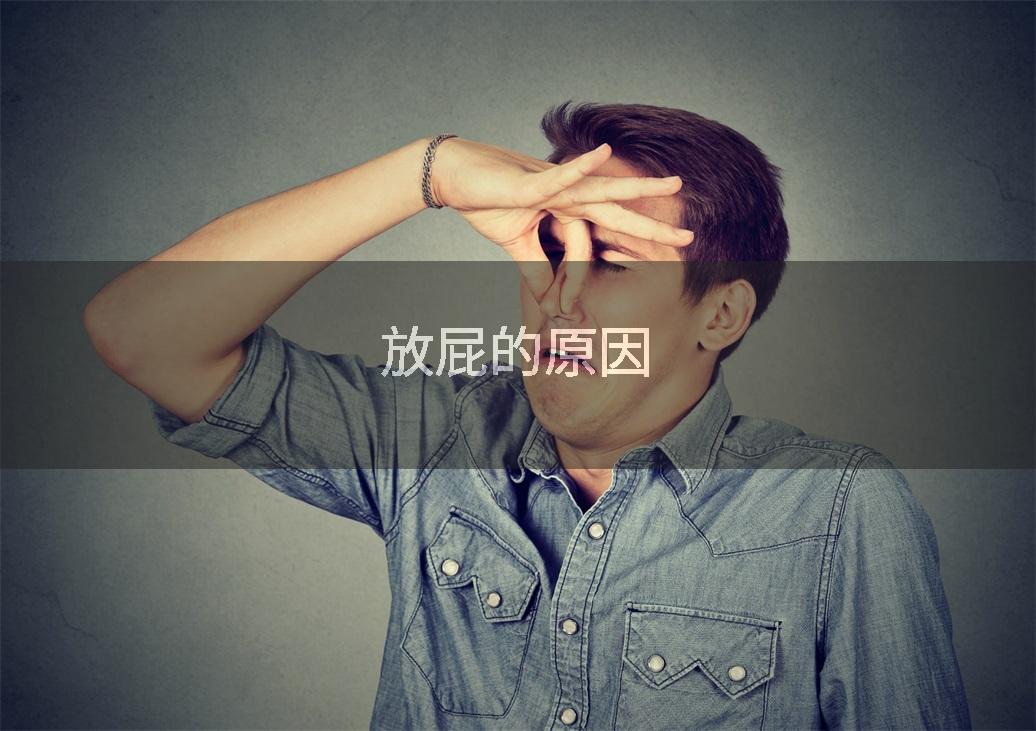 放屁的原因