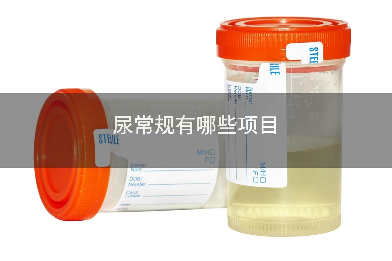 尿常规有哪些项目