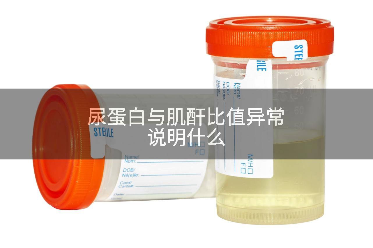 尿蛋白与肌酐比值异常说明什么