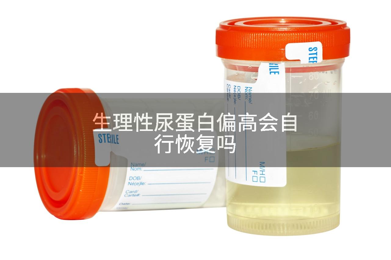 生理性尿蛋白偏高会自行恢复吗
