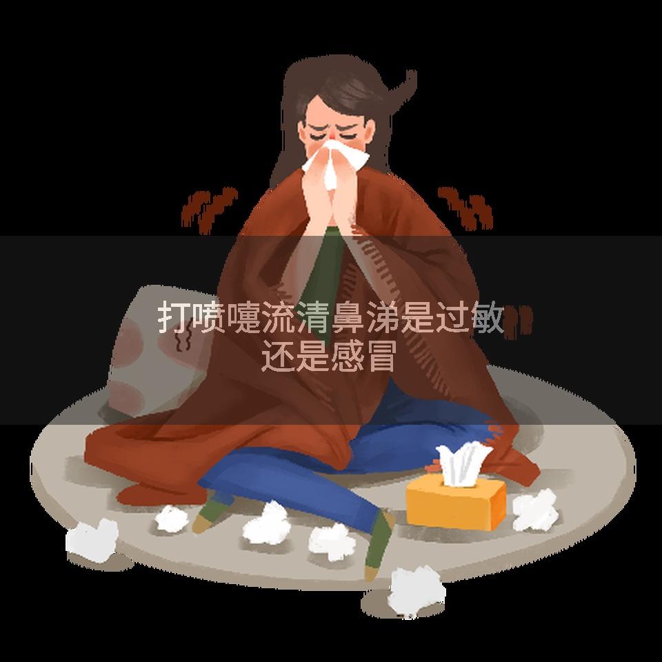 打喷嚏流清鼻涕是过敏还是感冒