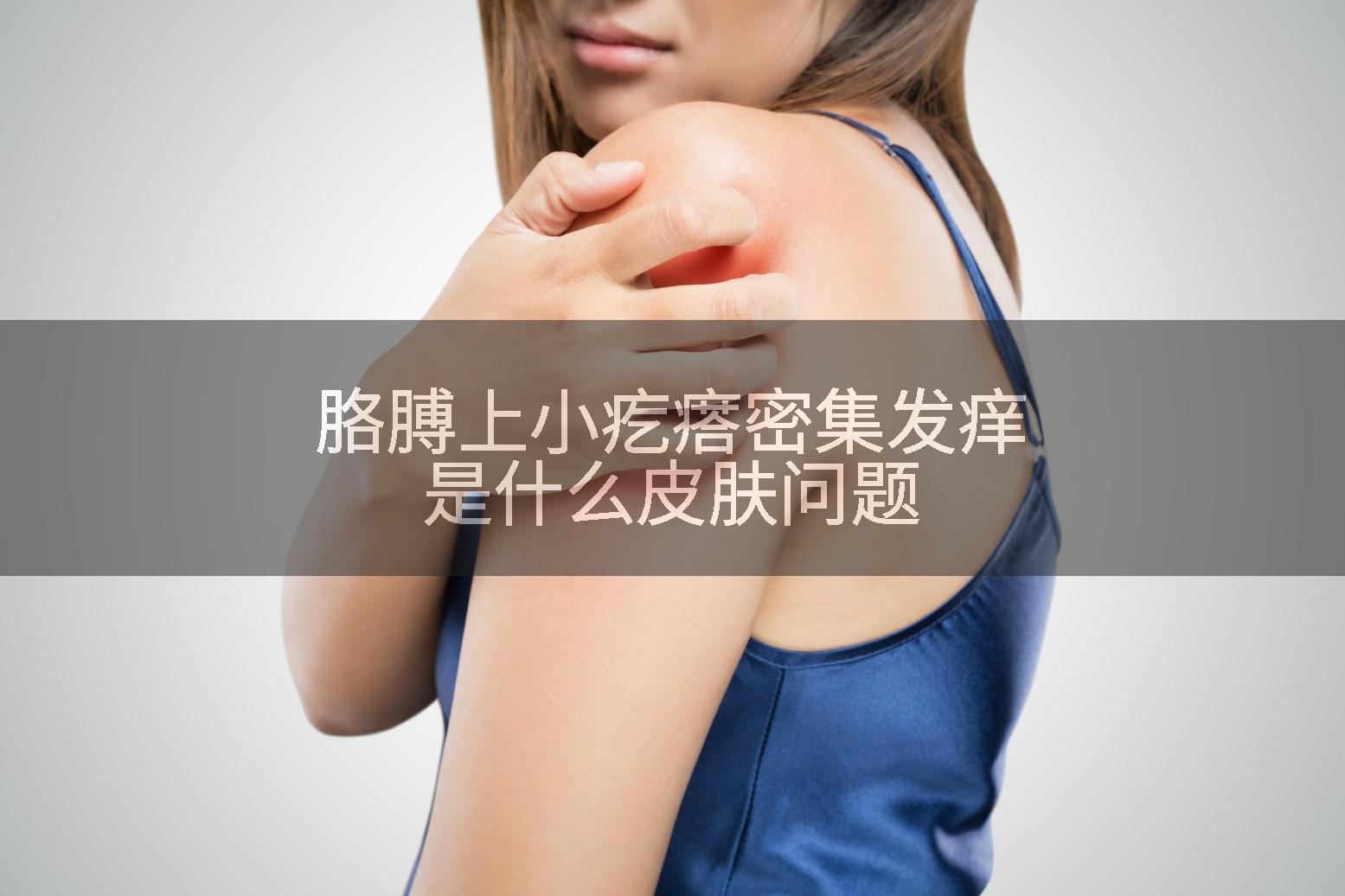 胳膊上小疙瘩密集发痒是什么皮肤问题