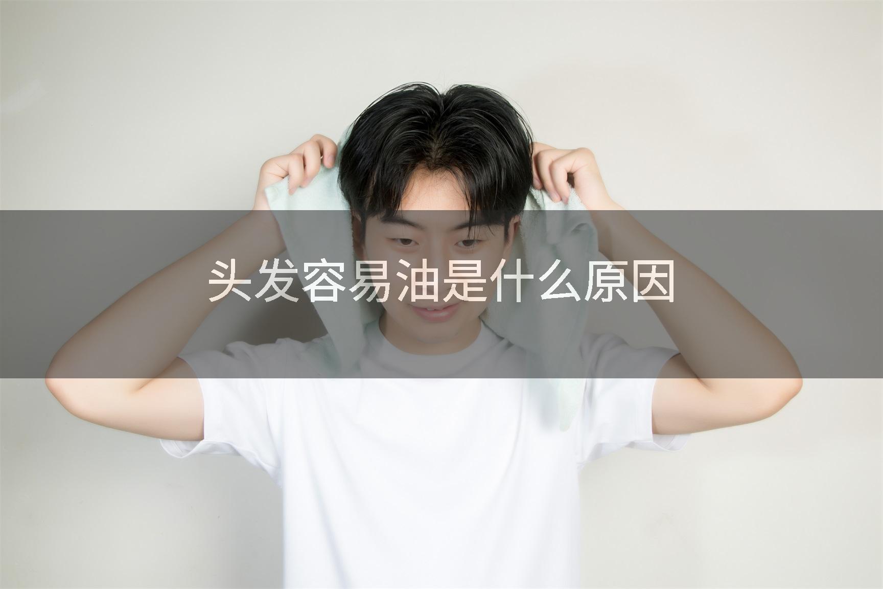 头发容易油是什么原因