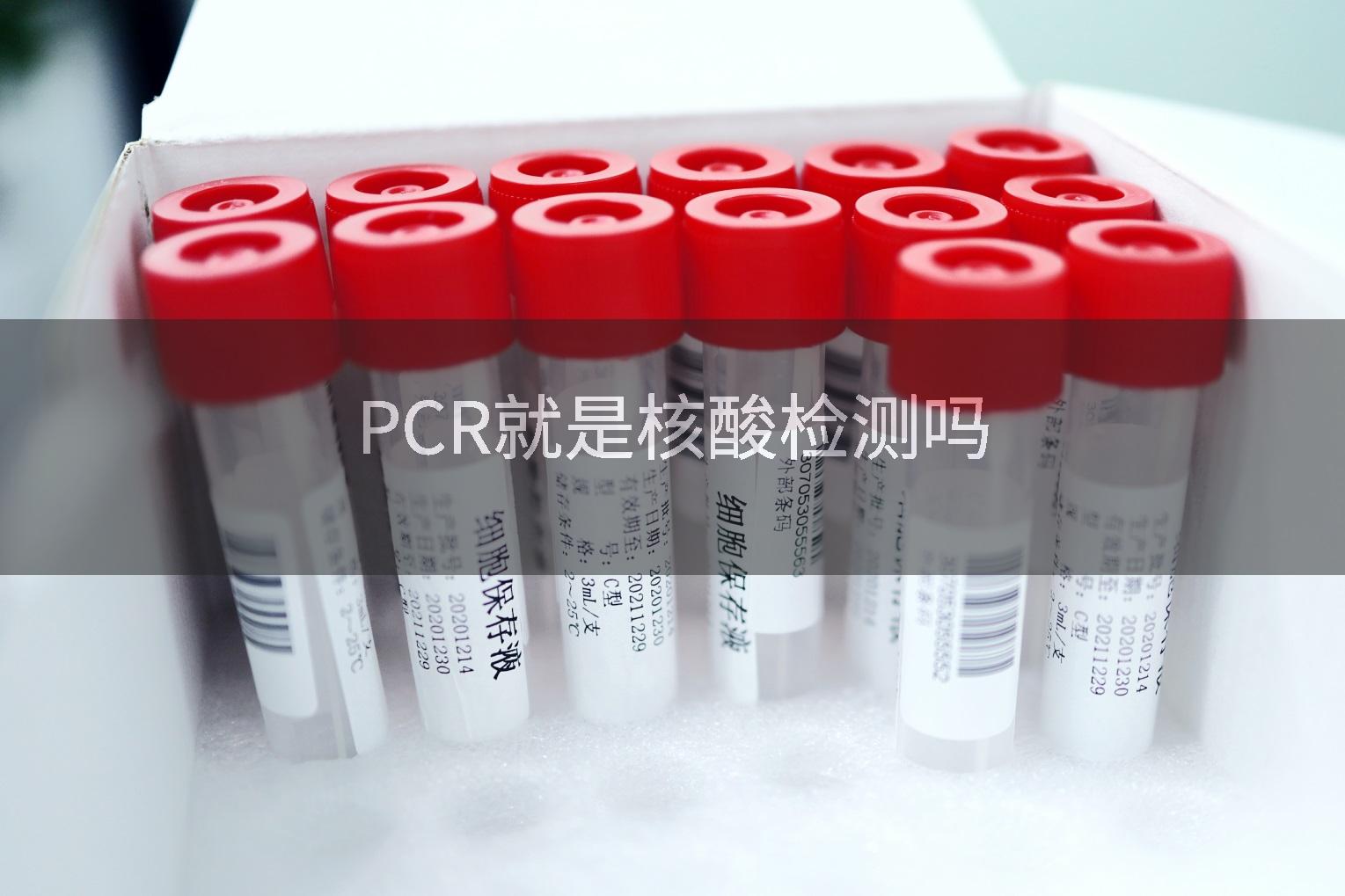PCR就是核酸检测吗