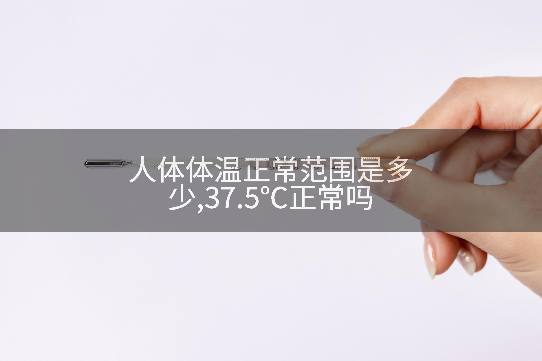 人体体温正常范围是多少,37.5℃正常吗