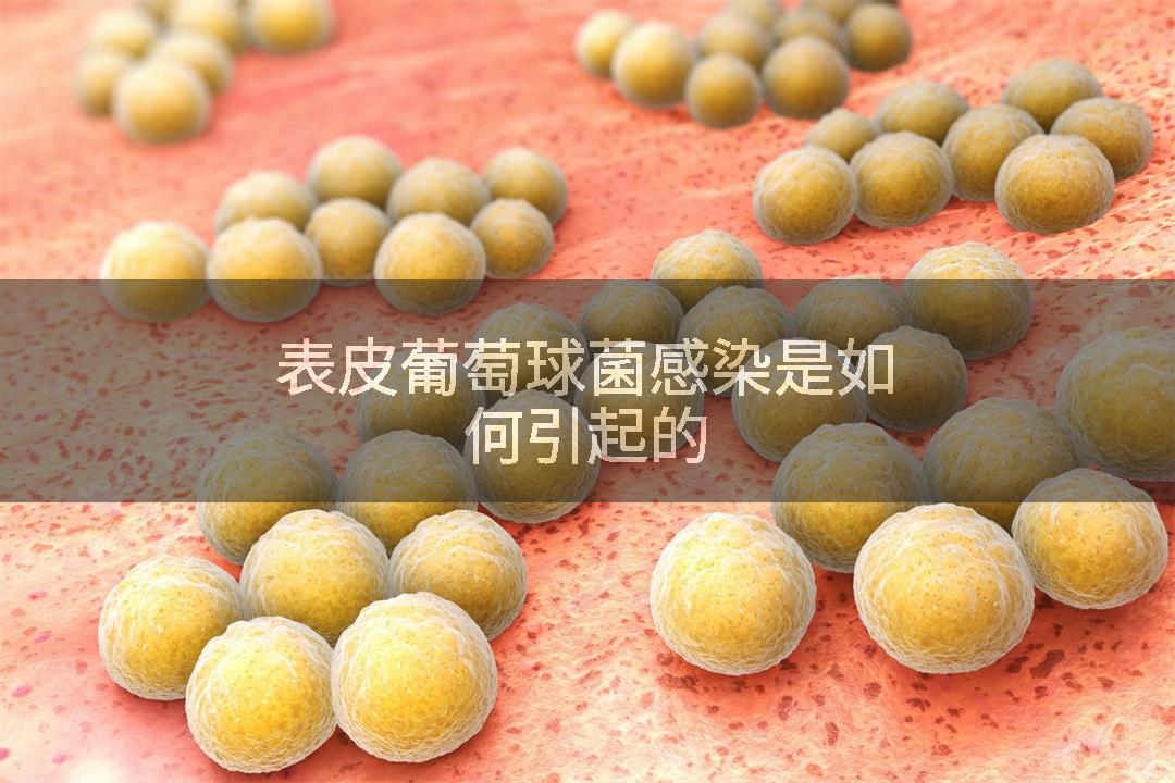 表皮葡萄球菌感染是如何引起的