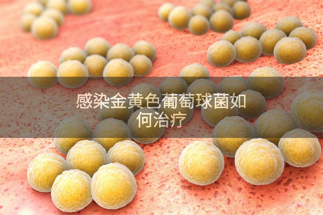 感染金黄色葡萄球菌如何治疗