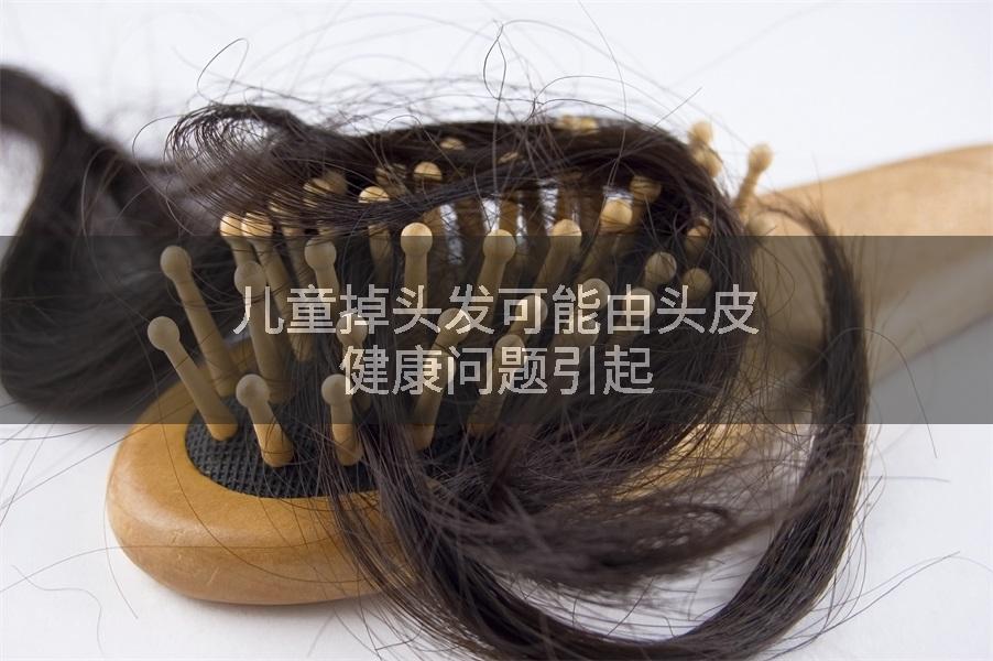 儿童掉头发可能由头皮健康问题引起