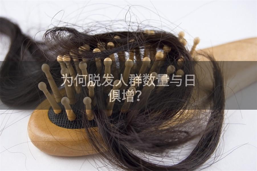 为何脱发人群数量与日俱增？
